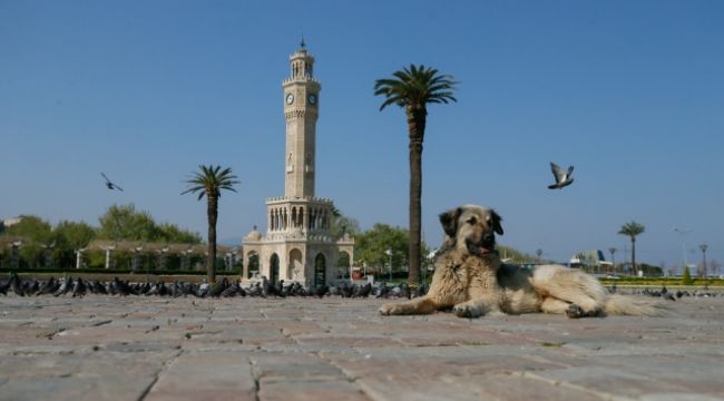 Sokağa çıkma yasağı bitmeden yeni yasak gündemde!