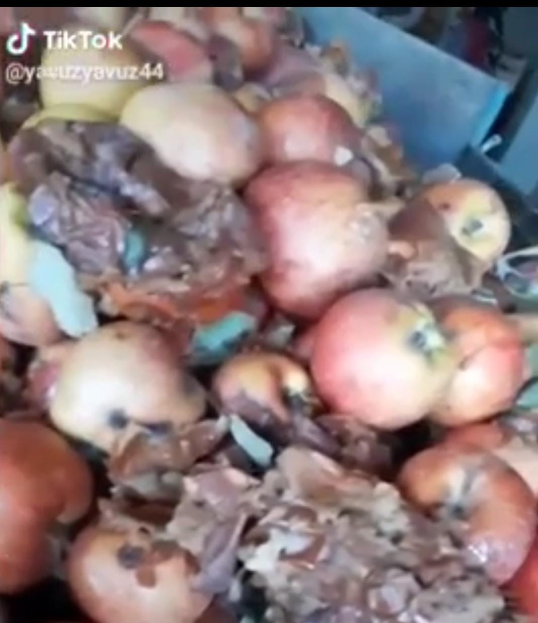 TikTok'ta yeni skandal: Çürük meyvelerden meyve suyu yapılıyor!