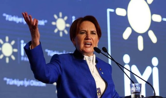İYİ Partili üç genç broşür dağıtırken gözaltına alındı: Meral Akşener tepki gösterdi