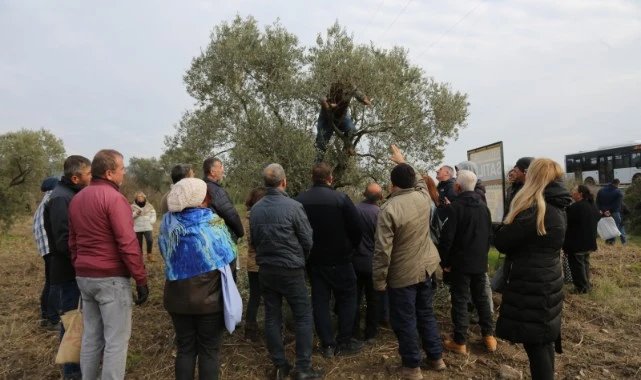 Yaşam Köyü Toprak Okulu'ndaki Zeytin Budama Eğitimine Çiftçilerden Büyük İlgi