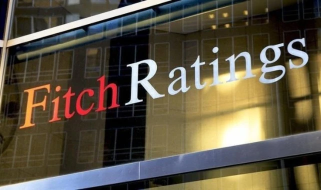 Fitch analistinden Türkiye değerlendirmesi