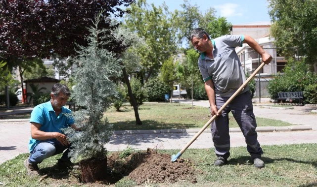 Bornova’da parklar yaza hazır