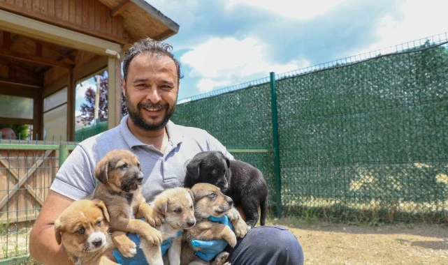 Buca Belediyesi’nden vicdani hamle “Yasayı Bekleme, Sahiplen!”