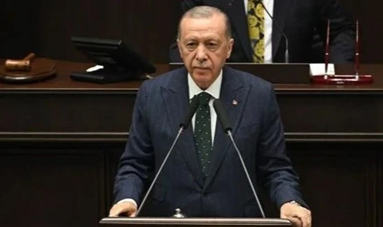 Erdoğan: Başıboş köpekler için sonraki adıma ihtiyaç kalmasın