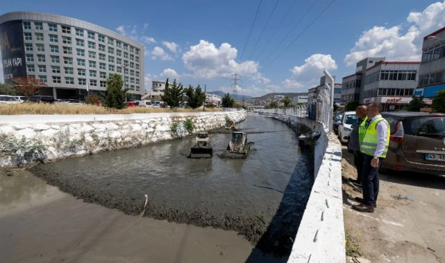 Kokuya karşı mücadelenin etkileri bu yaz görülecek