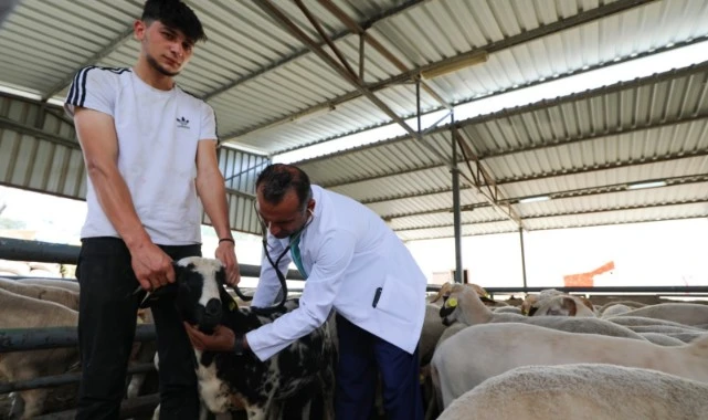 Karşıyaka’nın kurban pazarında hazırlıklar tamam