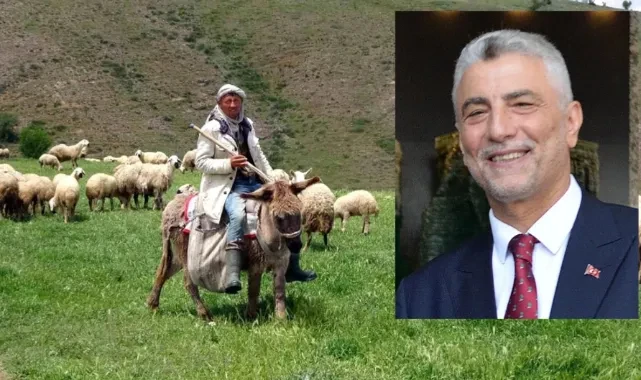 AKP'li Bakan Ömer Bolat: 25 bin Afgan çoban giderse hayvancılık biter