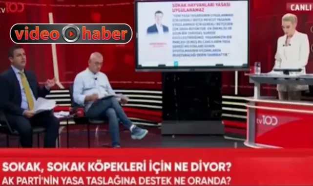 Canlı yayında "Köpeklerin öldürülmesiyle ilgili hadisler var" gerilimi