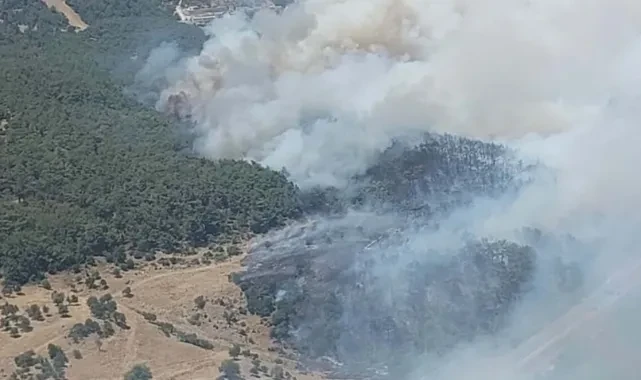 İzmir'de bir orman yangını daha: Bu kez Bornova, havadan ve karadan müdahale başladı