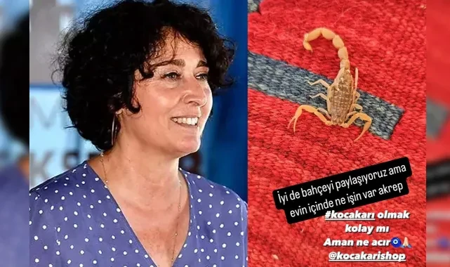Neptün Soyer’den kinayeli paylaşım: Evdeki akrep