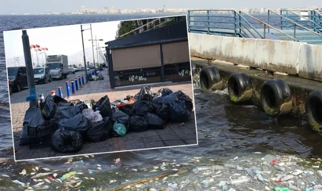 Burası İzmir’in merkezi: Bir tarafta çöp yığınları, bir tarafta ölü balıklar