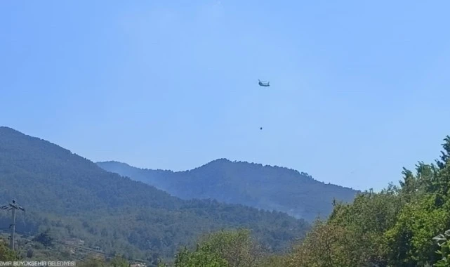 İtfaiye ekipleri, Kemalpaşa yangınına müdahale ediyor 