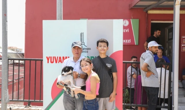 Karşıyaka can dostlara sahip çıkıyor 