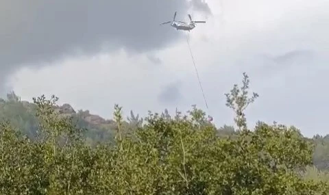İki ilçede çıkan yangınlara İzmir İtfaiyesi’nden hızlı müdahale