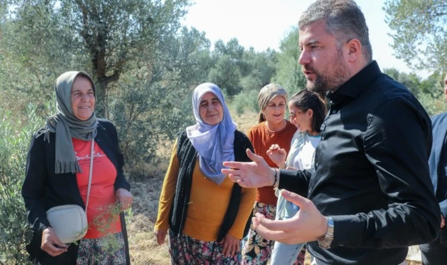 Buca Belediye Başkanı Görkem Duman,  çiftçi kadınlarla ilk zeytin hasadına katıldı