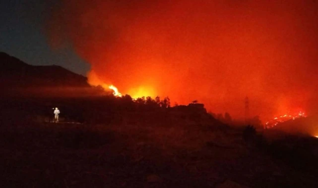 İzmir Foça'da orman yangını