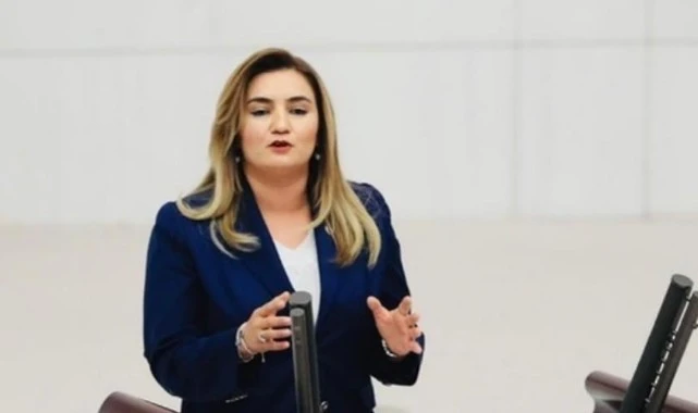 CHP'li Sevda Erdan Kılıç: “Orantısız müdahale kabul edilemez"