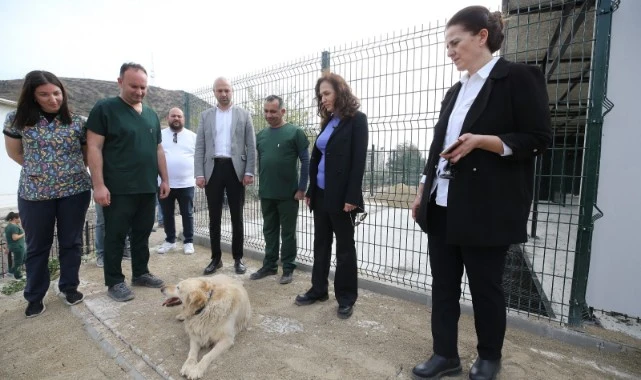 Karşıyaka yeni hayvan yaşam merkezine kavuşuyor