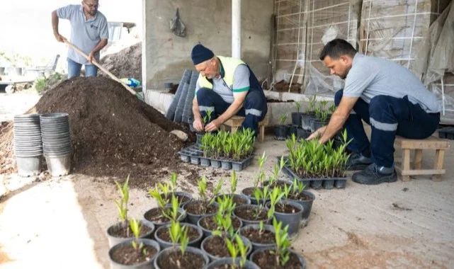 Sanki cennetten bir köşe