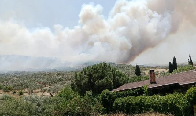 Dün Mordoğan bugün Foça... Kabus sürüyor!