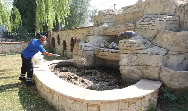 Efes Selçuk’ta Halk Sağlığı İçin Kapsamlı İlaçlama Seferberliği