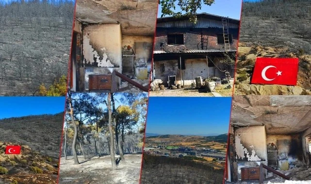 İzmir Aliağa’da Bir Ömürlük Kayıp! Yangının Ardından Yürek Burkan Kareler…