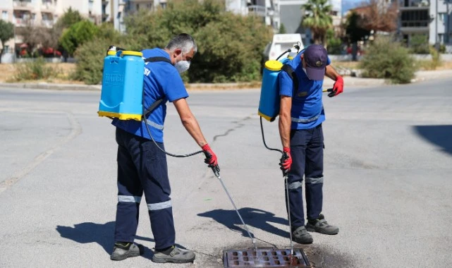 Buca’da ilaçlama atağı