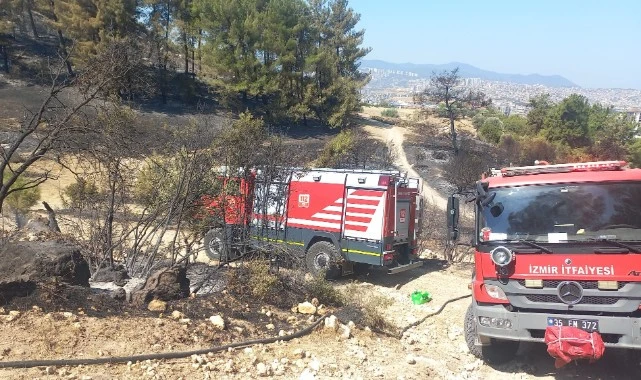 Buca ve Aliağa’da çıkan yangınlar kontrol altına alındı