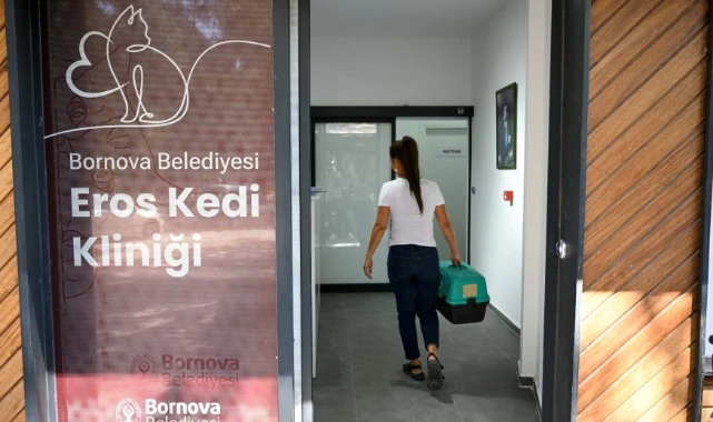 Eros Kedi Kliniği yoğun ilgi görüyor