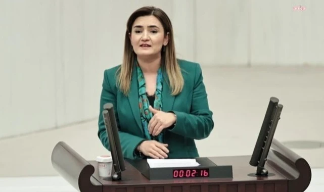 CHP'li Sevda Erdan Kılıç: “Deliktaş Köyü’nde Eğitim Hakkı Gasp Ediliyor”