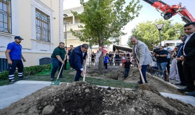İzmir'de ağaç krizi: Cemil Tugay dikti Valilik söktü