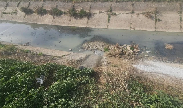 Büyükşehir, Temiz Çevre için Görev Başında