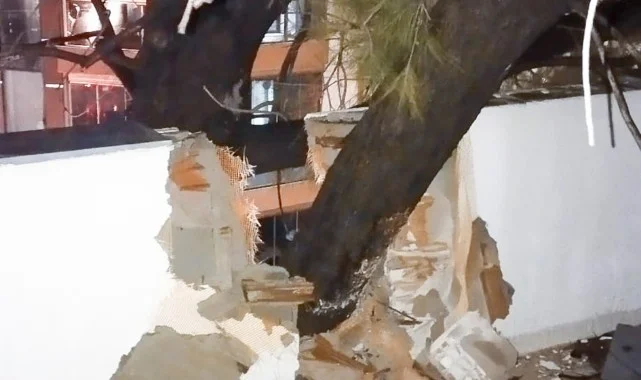 Buca Belediyesi ekiplerinin fırtına ve yağış mesaisi