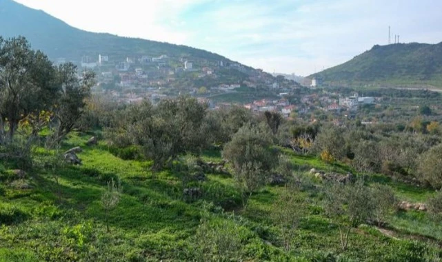 Menemen Belediyesi'nden tarıma can suyu
