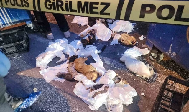 Başkan Görkem Duman: “Bu vicdansızlığın sorumluları hukuk önünde hesap verecek”