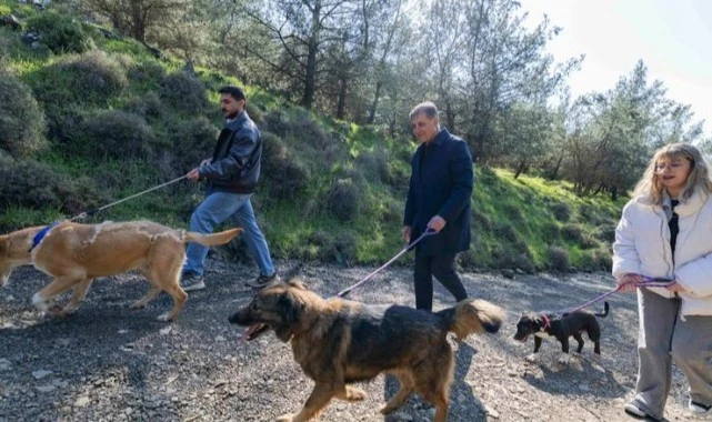 Büyükşehir’den Dikili’ye tam teşekküllü sokak hayvanları kampüsü