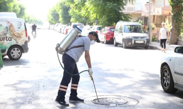 Karşıyaka Belediyesi’nden haşerelerle kararlı mücadele