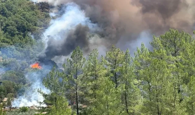 Muğla Fethiye'de Orman Yangını