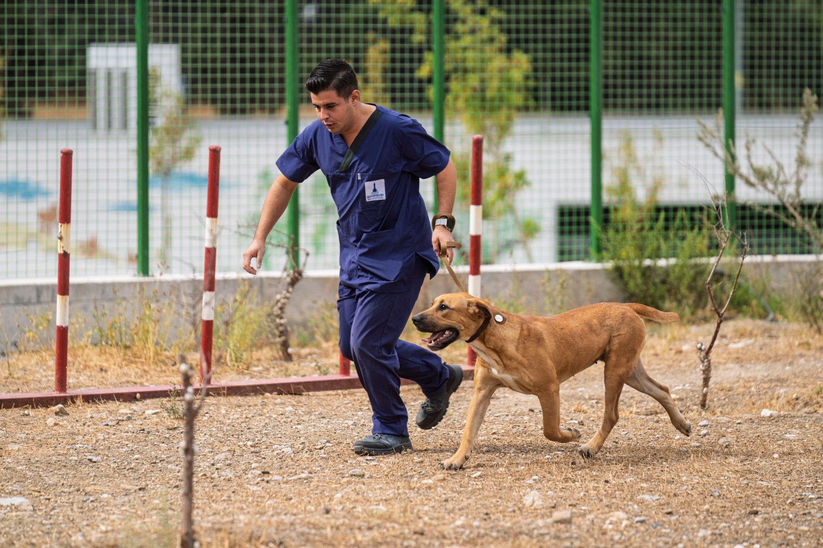 Bir yuva, bir canın hayatını değiştirir